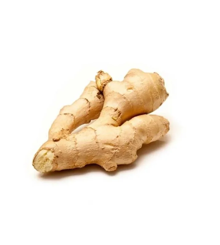 Good Samples Available Competitive Price Low Shipping Fee New Fresh Ginger With Good Quality From Factory