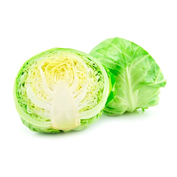 Organic Green Cabbage For Sale In EU
