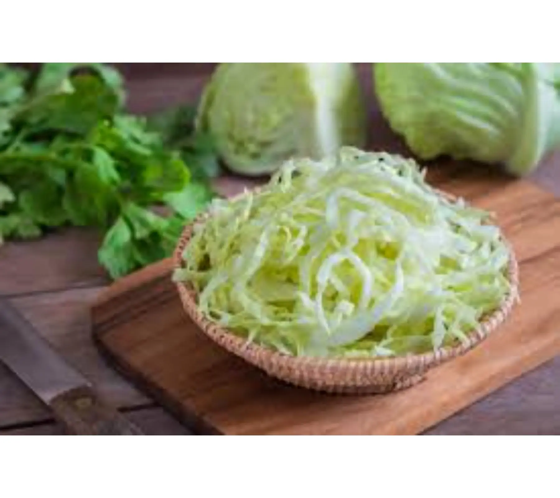 fresh vegetable cabbage Hybrid Copenhagen verity Op Copenhagen export open pollinated verity exporter company India