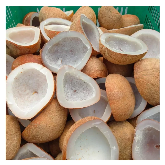 Bags White Tropical Style Packaging Mature Organic Pulp Color Pure Weight Brown Natural Origin Type Full Coconut Quality Variety