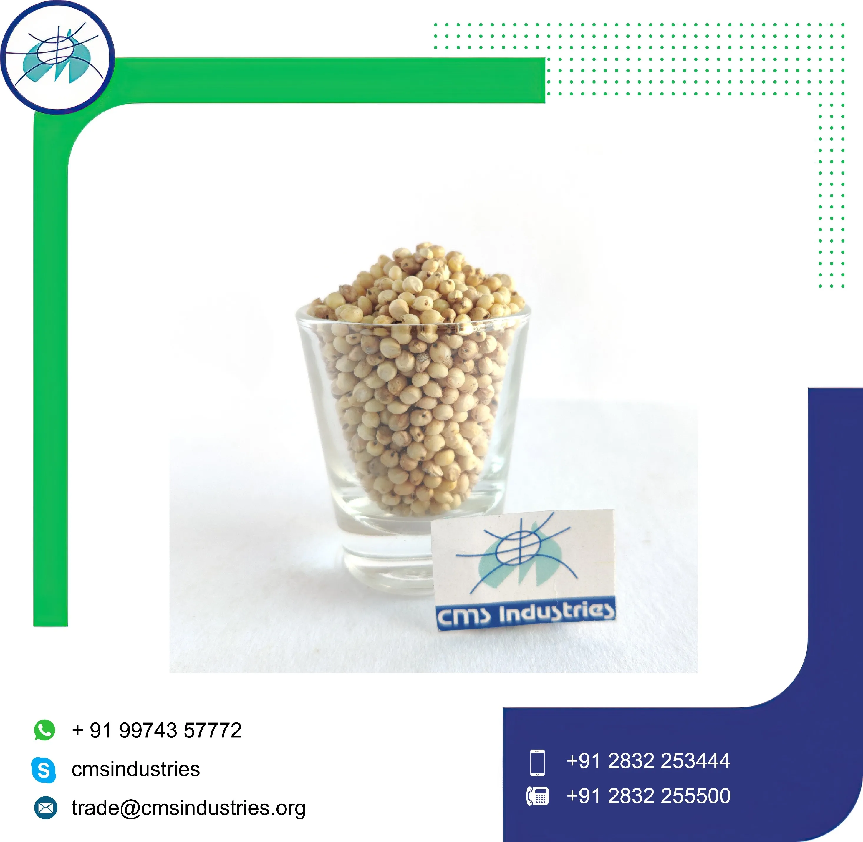 Indian Supplier High Purity Snow White Sorghum