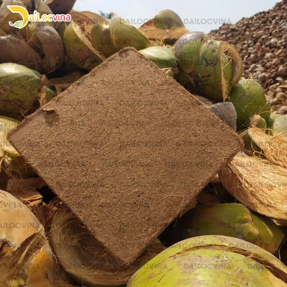 COCO PEAT 5 KG BLOCK PEAT COCO FOR SUBSTRATE MUSHROOM EXPANSION TO 75L