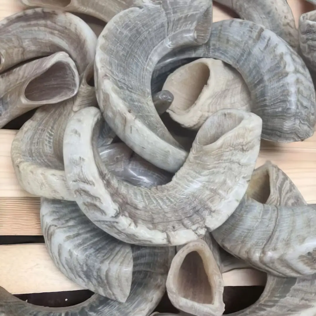 Nhe Overseas Best Top Natural Ram Horns Large Eco-Friendly Cotton Dog Chew & Treats Sale on Best Top Lamp Horns