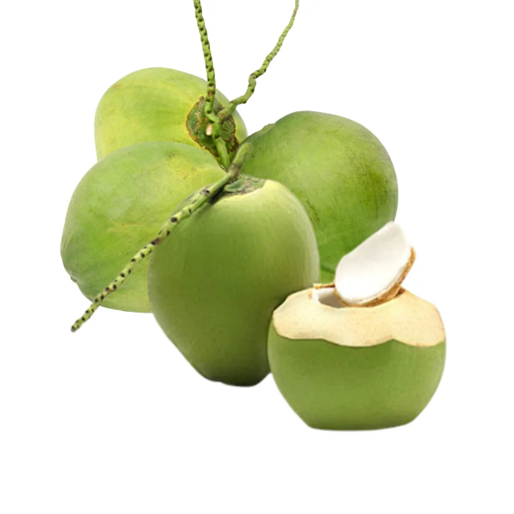 Wholesale Price Fresh Green Coconut for Drinking and Cooking Premium Quality from Viet Nam Manufacturer