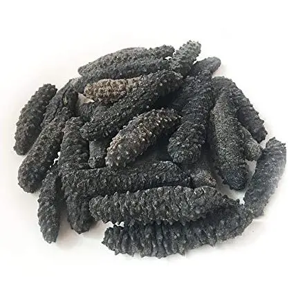 Top Quality Best Price Dried Sea Cucumber Fresh Sea Cucumber Cheap Dry Sea Cucumber
