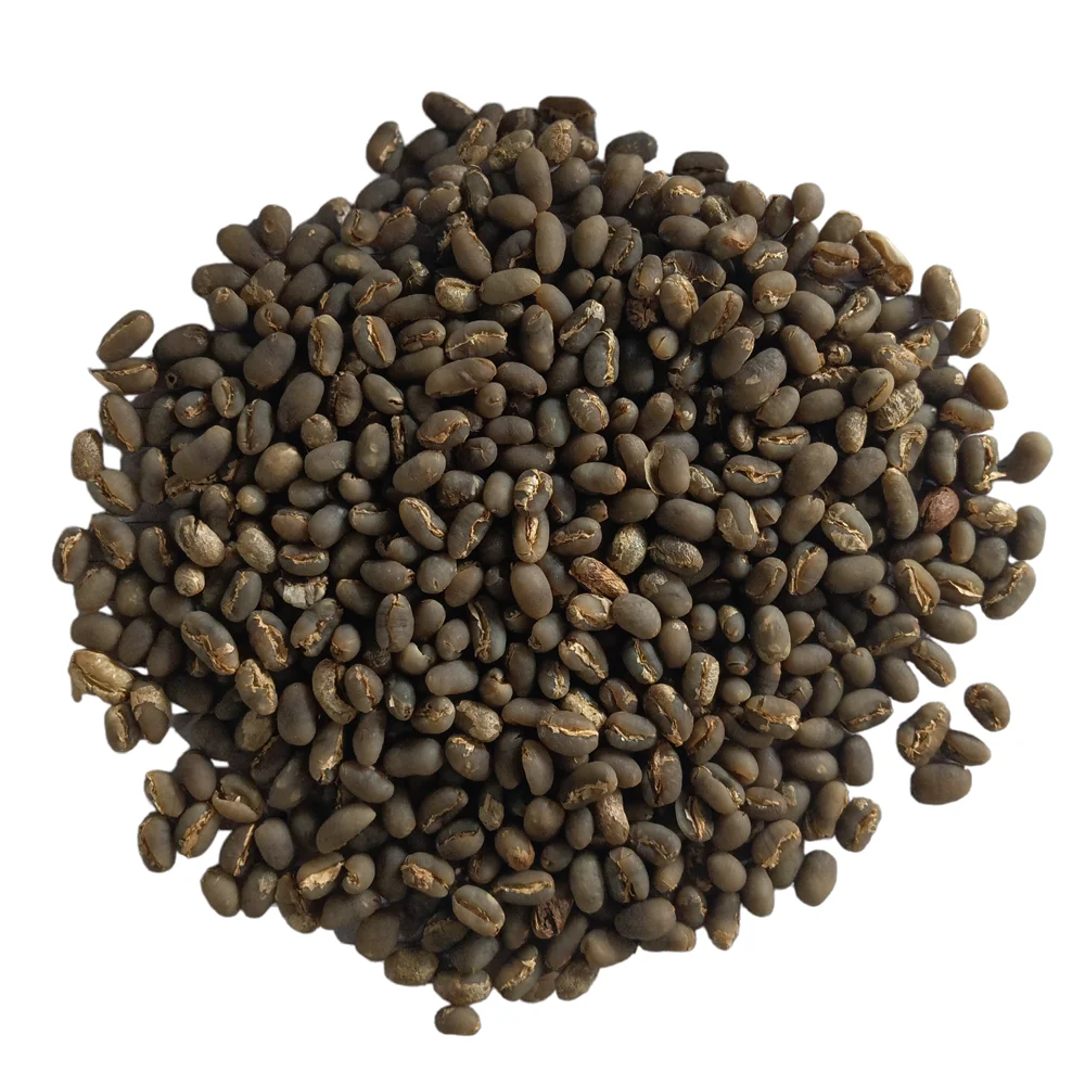 Premium Sumatra Mandheling Peaberry Green Coffee Beans Specialty Grade Arabica Coffee Directly Sourced from Indonesia