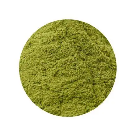 Grade 1 Artificial Dried Dill Powder Premium Agriculture Product