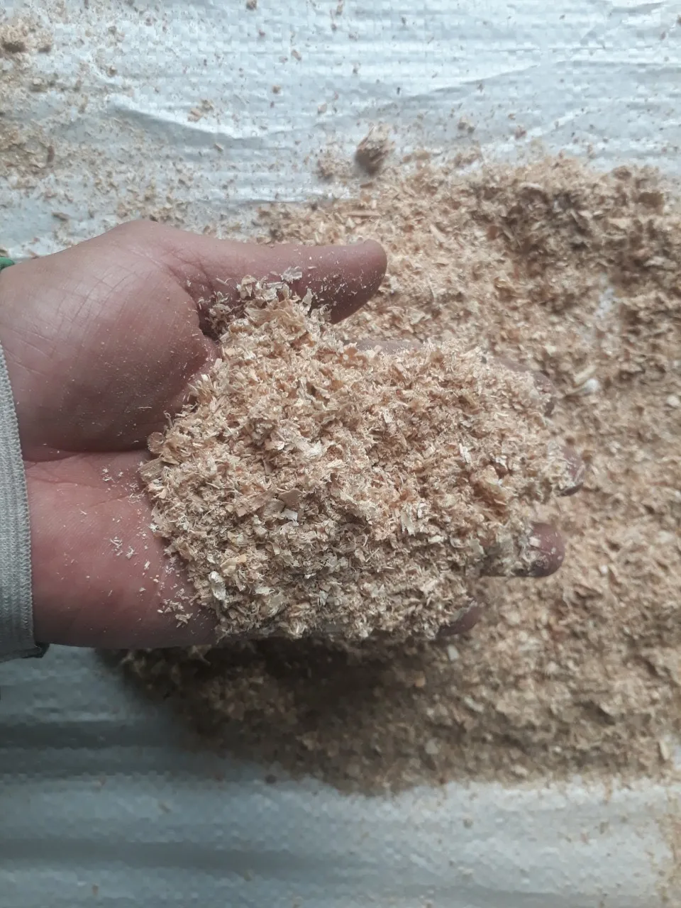 Cheap Wood Sawdust - Wood chips & Wood Shaving for Horses