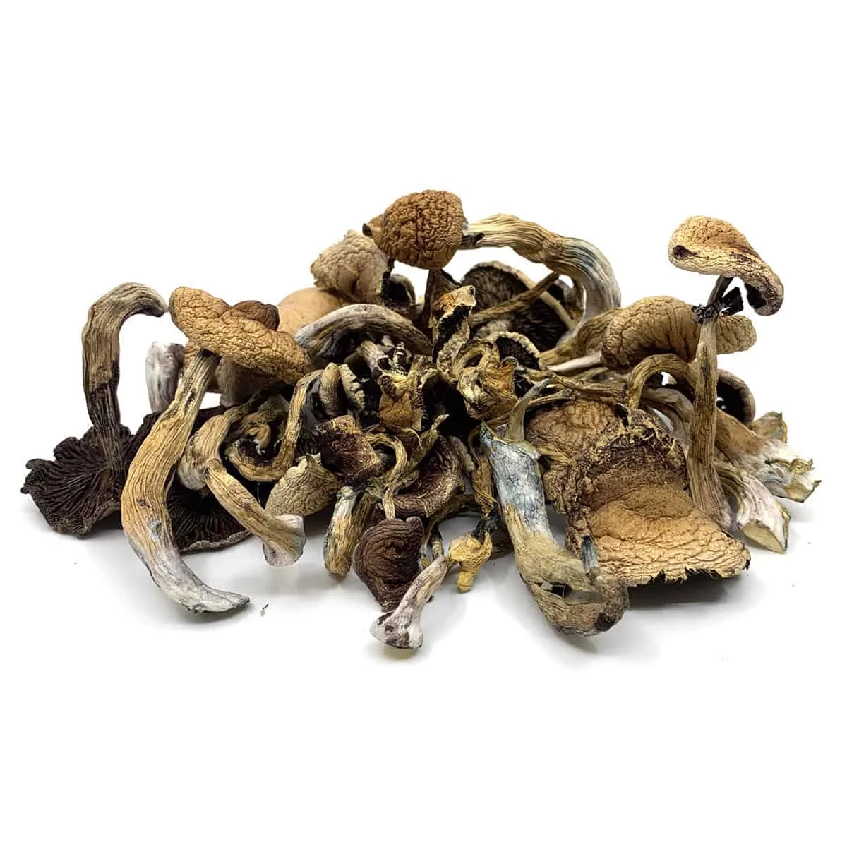 Mushrooms For Sale Dried Morels Price Dried Mushrooms wholesale