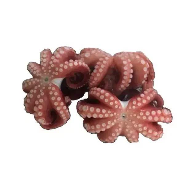 Sea Frozen Baby Octopus/Big Size Octopus with Competitive Price Wholesale Seafood Products