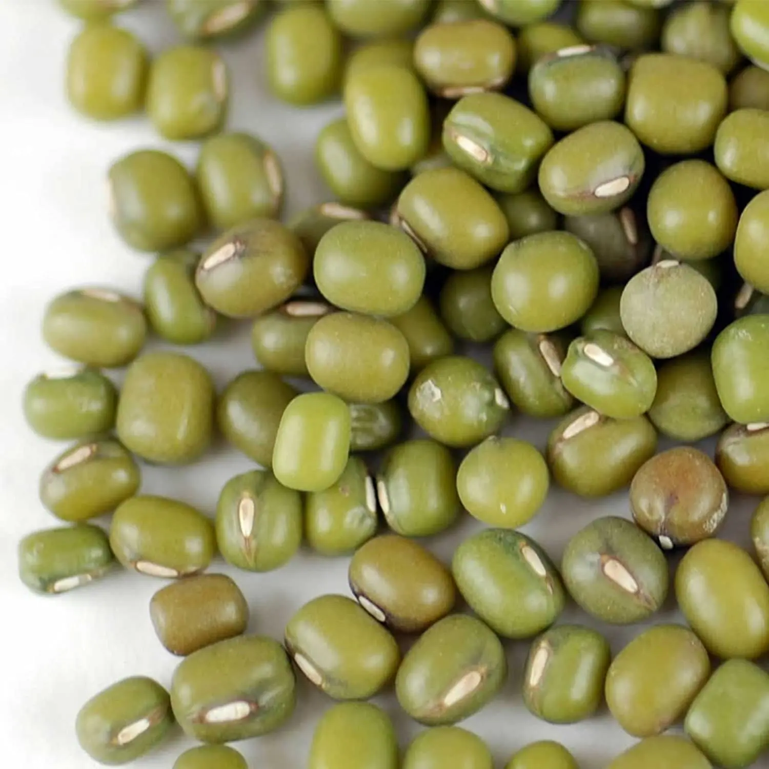 Wholesale dried green bean premium quality food grade bulk natural new crop Mung Beans high quality Mung Beans for sale