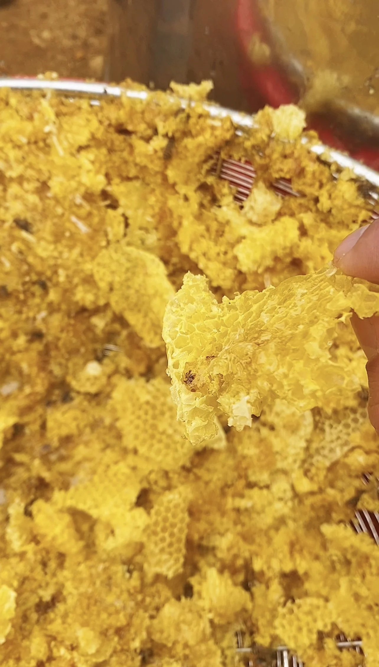 OEM/ODM Support Quality Best Low MOQ Price Reasonable Package natural bee honey Mint Honey From Vietnam