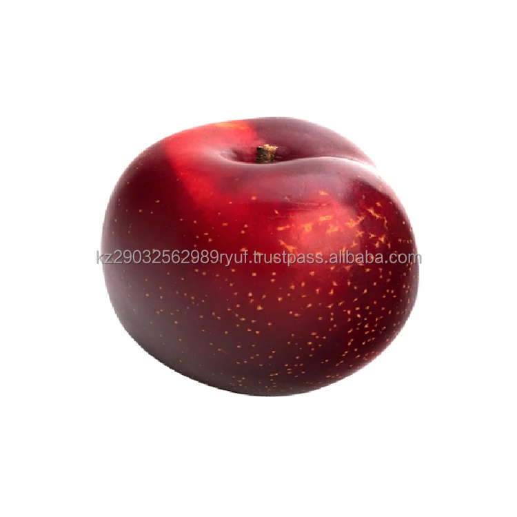 Sweet fresh plum is a useful juicy soft fruit grown in ecologically clean places in Kazakhstan