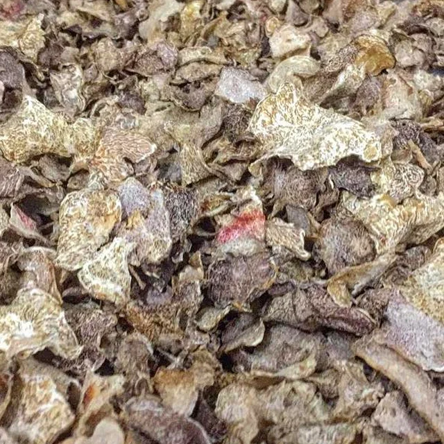 New Product 2023 Italian Dried Superior White Truffle 25 g