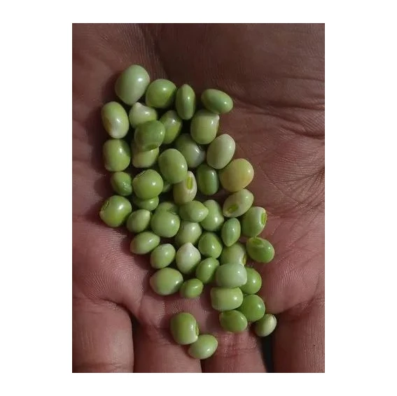 Premium Quality Food Grade Green Pigeon Peas Wholesale Bulk Style Storage Packing and Packaging ready for export