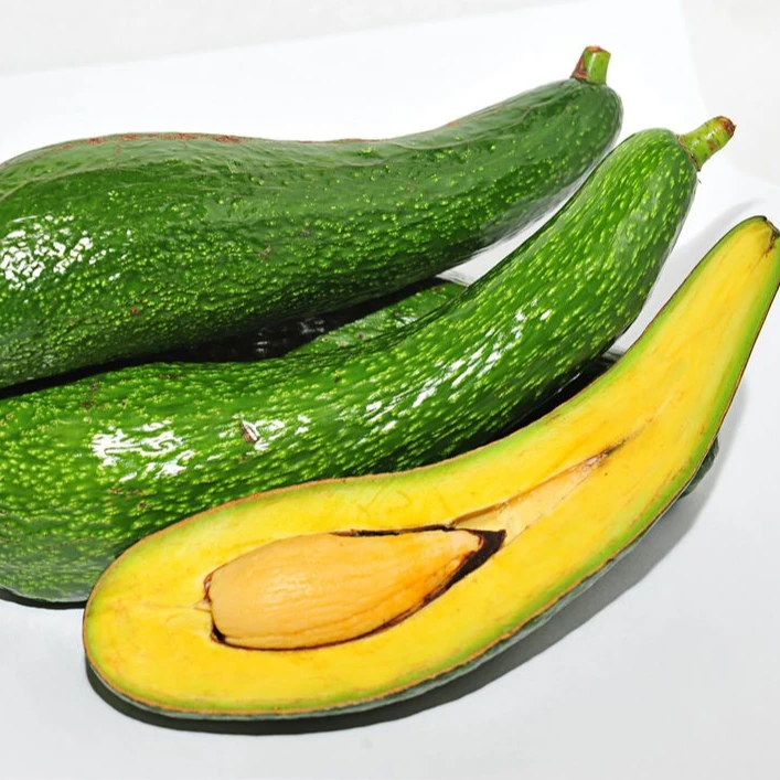 Good price frozen avocado ORGANIC FRESH AVOCADO FRUIT whole avocado fruit export