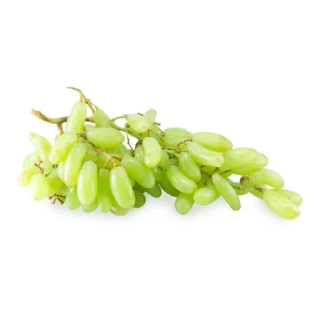 Best Selling Premium Green Grapes with Good Sweet Content and Flavorful Available at Wholesale Price from Indian Exporter