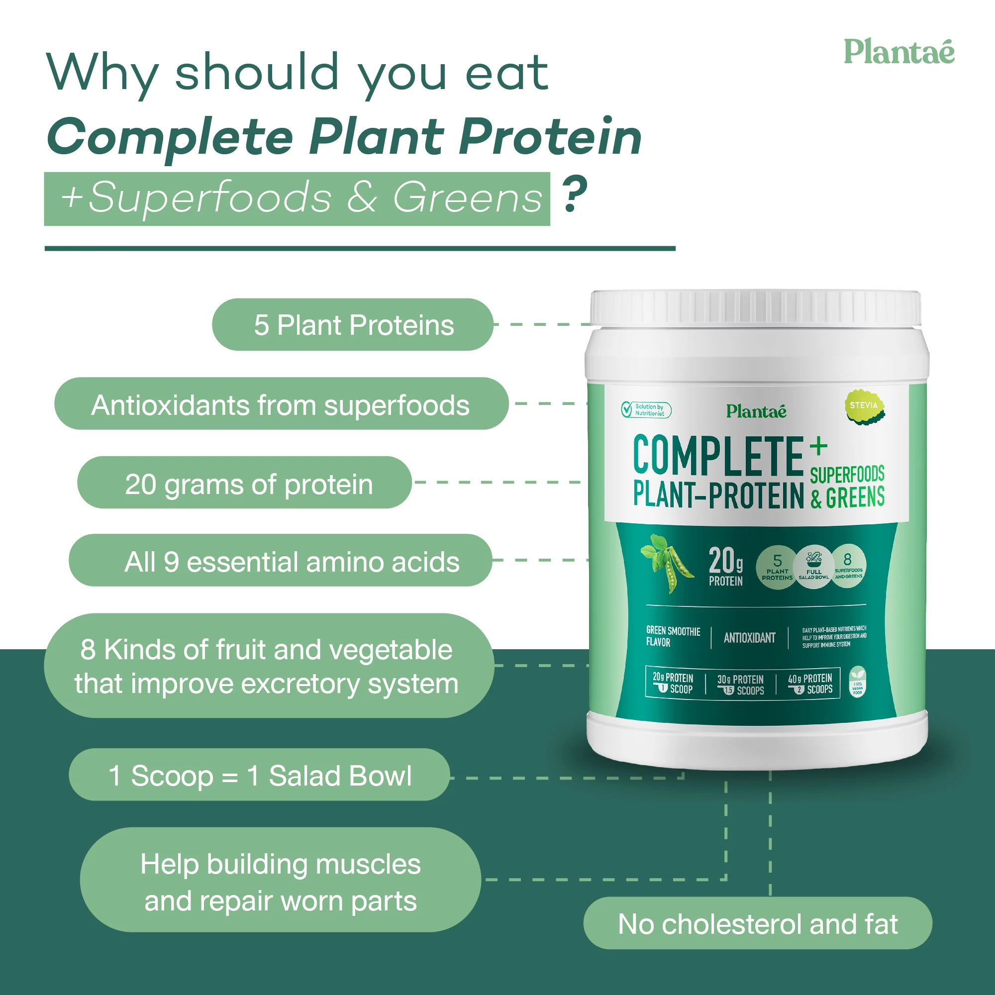 New Updated! High Quality Complete Plant Green Smoothie from Thailand Protein + Superfood & Greens Powder Providing Energy TH;24