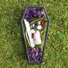 new design jewelry storage organizer metal glass coffin shaped packaging box big luxury coffin bracelet box