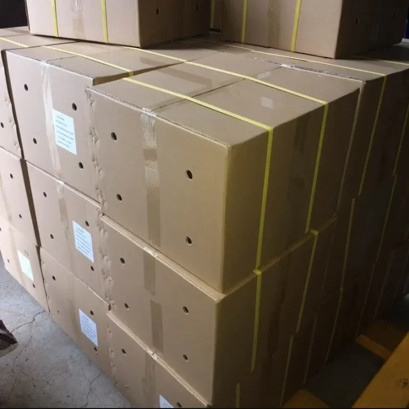 Factory Wholesale Customized split cassia cinnamon thin split cassia