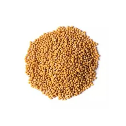 Top Quality Rice bran for animal feed exporting with the most competitive price