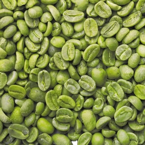 High Quality Unwashed Green Coffee Beans Arabica Plantation AA in Bulk Good Price by India
