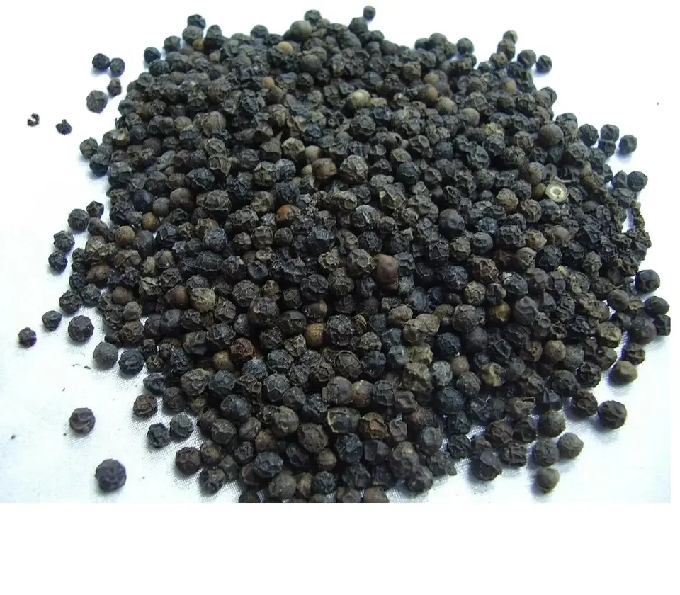 Cheap Dried and Fresh Black Pepper 550gl  500gl  Ready