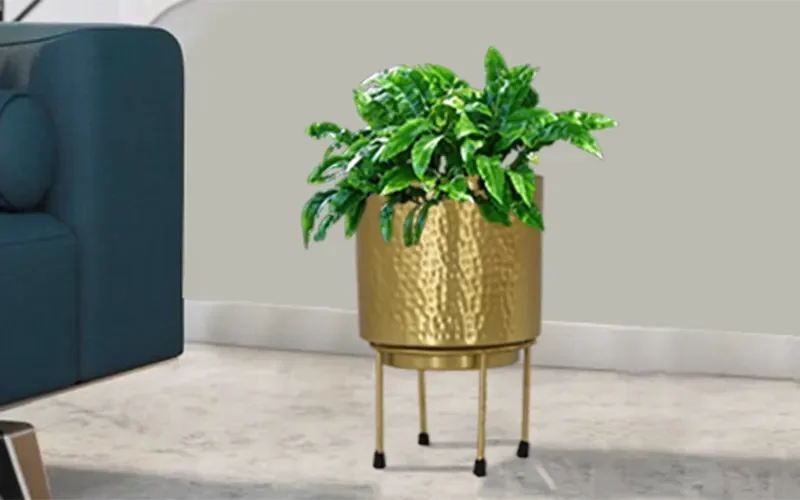 Royaloak Gold Metal Planter With Stand New design Modern