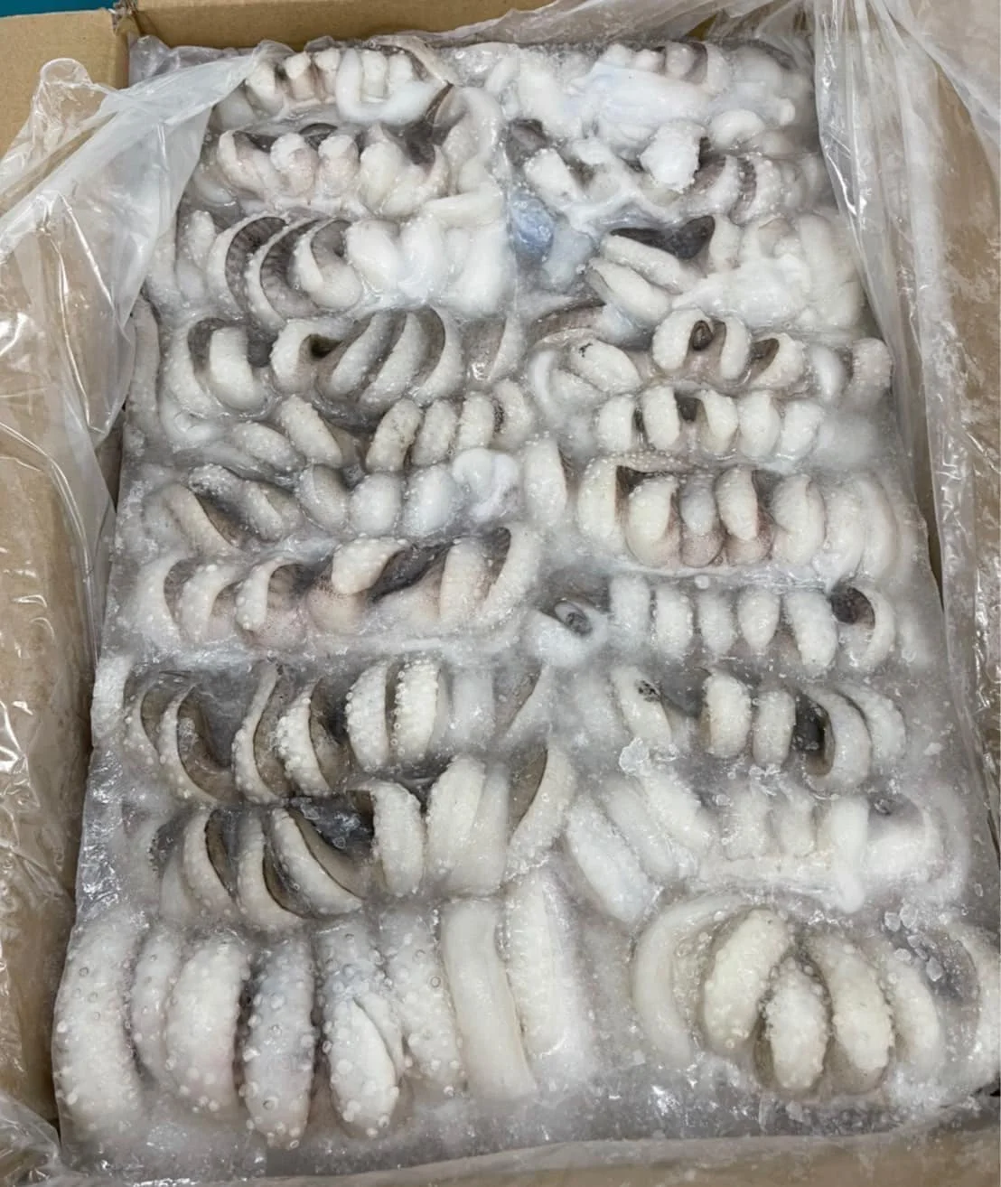 Frozen squid tentacles One box weighs 1 kg Squid weight 800g Net weight 1000g sea food frozen seafood Frozen squid