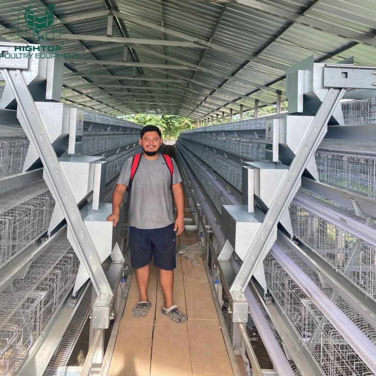 Good Design Steel Automatic A Type 4 Tier Poultry Chicken Layer Battery Egg Hen Cage For 10000 Birds Chicken House Chicken Coop