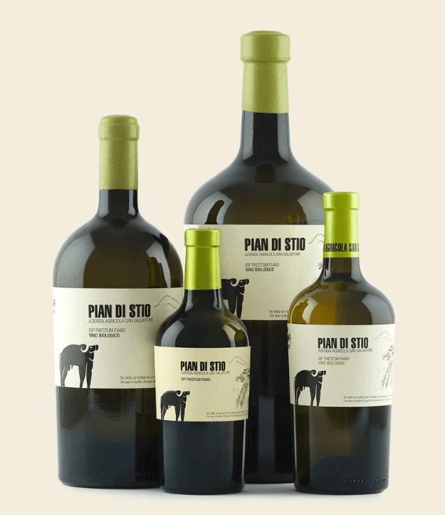 Top Quality PIAN DI STIO IGP Paestum Fiano Organic 2020 750ml alcohol 13% italian white table wine for sell