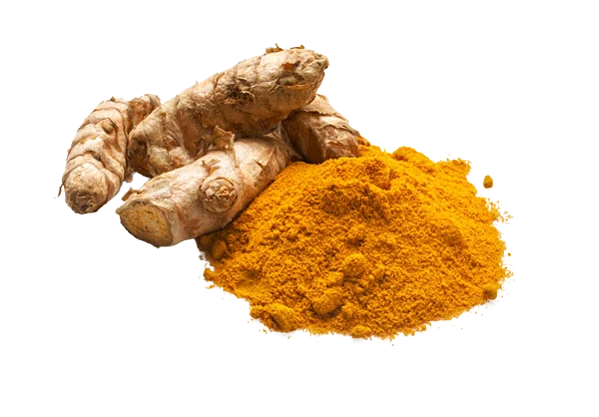 Hot Sell 2022 Organically Grown Turmeric Powder For Food Making Uses Manufacture in India Wholesale Suppliers