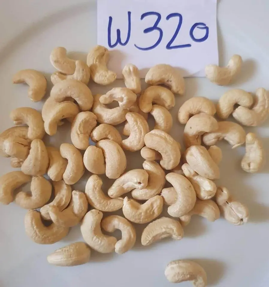 Great quality cashew nuts in bulk, cashew
