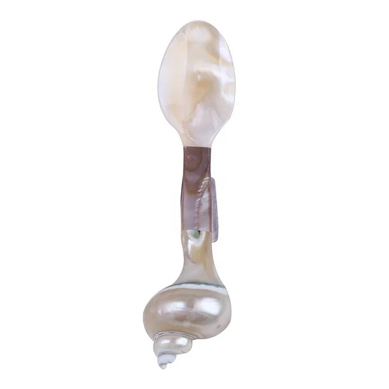 Handmade Serving Spoons Seashell Spoon for Dining Home Decor OEM Design in Vietnam Factory