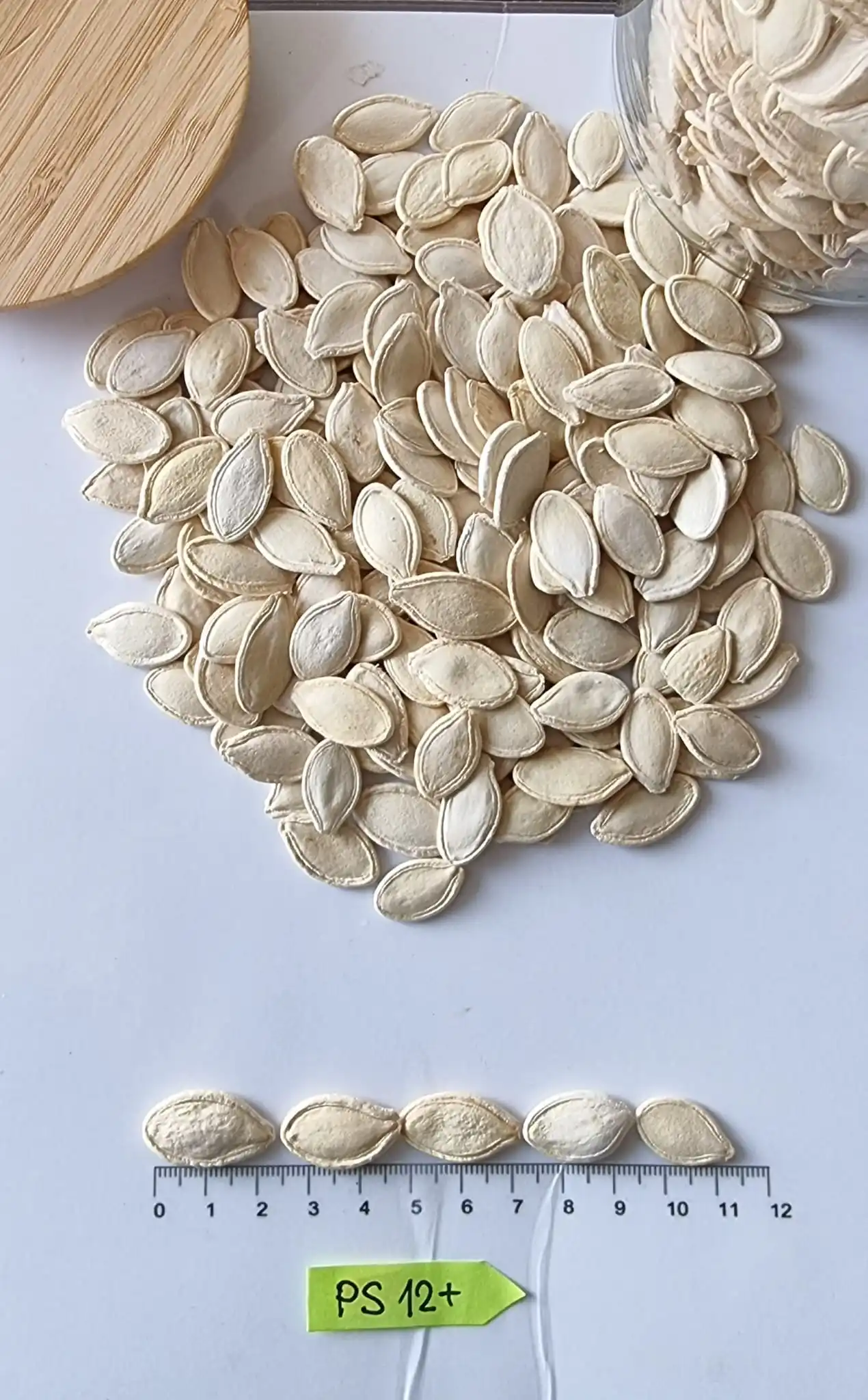 Pumpkin seeds Food & Beverage Snacks Nut & Kernel Snacks Healthy  Food Store Bulk Packaging Bulgarian Origin New Crop Best price