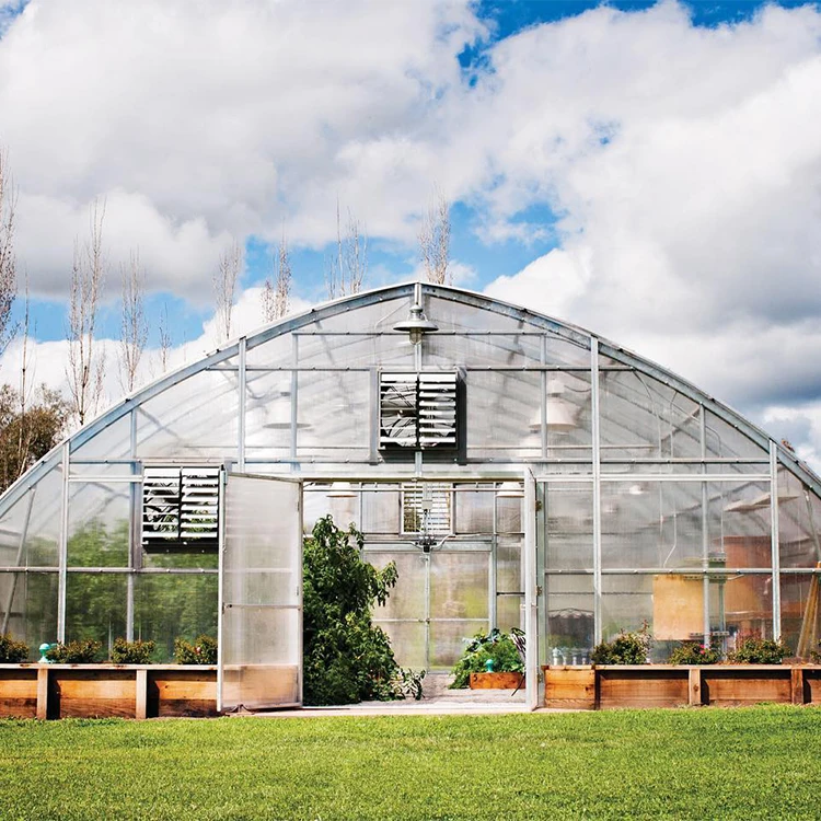 PC Board Greenhouse Single-span Arch Agricultural Polycarbonate Greenhouses For Sale