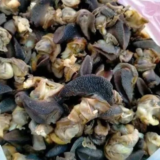 Sun Dried Giant Snail Meat/Washed Frozen Farm snails