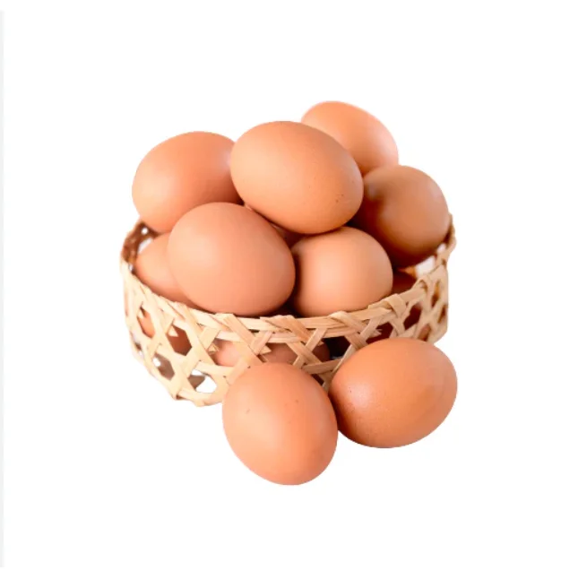 Импортируйте свежие куриные яйца/Яйца круглого стола/плодородные инкубационные яйца по низкой цене.