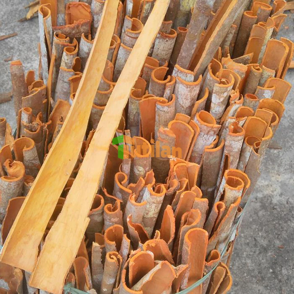 Planting Quality Assurance Dried Cinnamon Factory Wholesale Price Cassia Cinnamon Stick