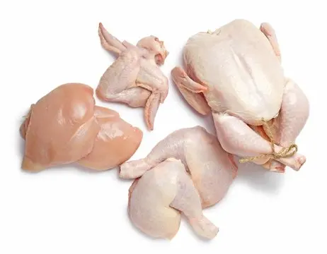 TOP QUALITY Frozen Chicken  parts, Breast , Skinless Boneless Chicken Breast Fillet, Halal