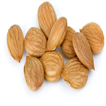 dried apricot, apricot kernels, bitter and sweet apricot kernel
