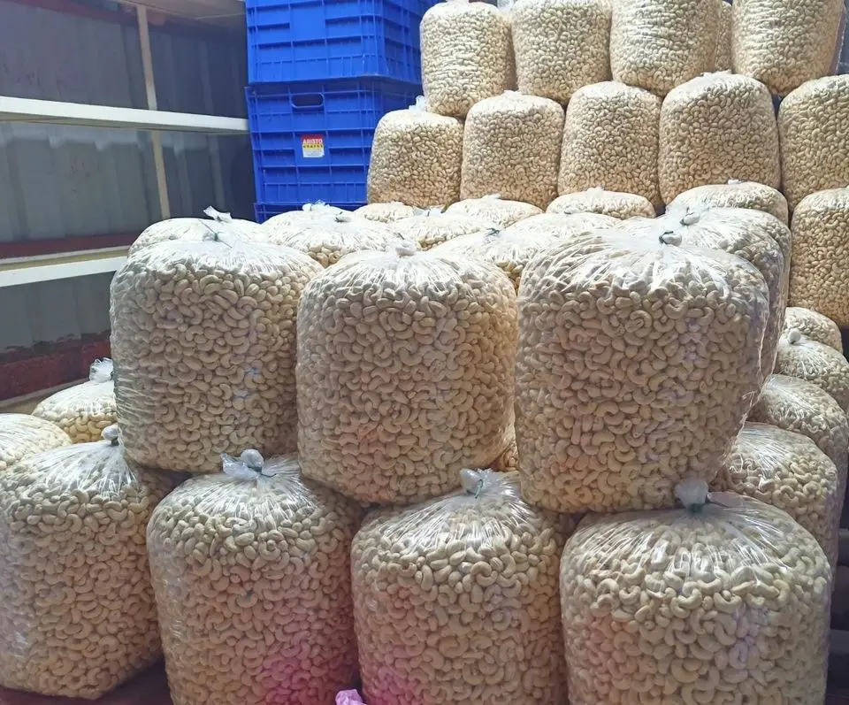 Wholesale dried cashew nuts cheap price W180 big size good quality from VietNam manufacture