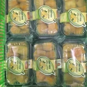 HOT SALES- FROZEN JACKFRUIT- MADE IN CAN THO VIET NAM