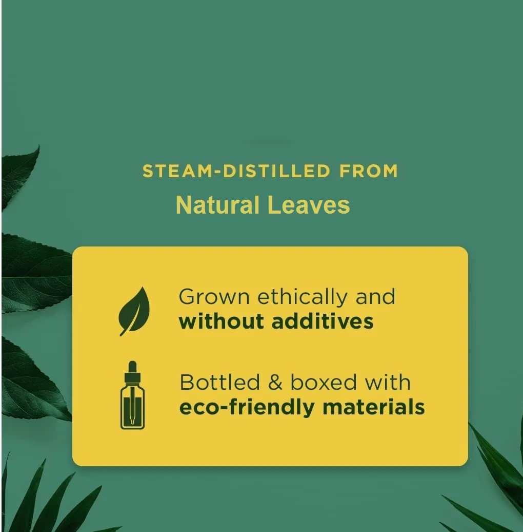 Wholesale Price 10ml 100% Pure Natural Tea Tree Essential Oil For Skin Care, Massage And Bath