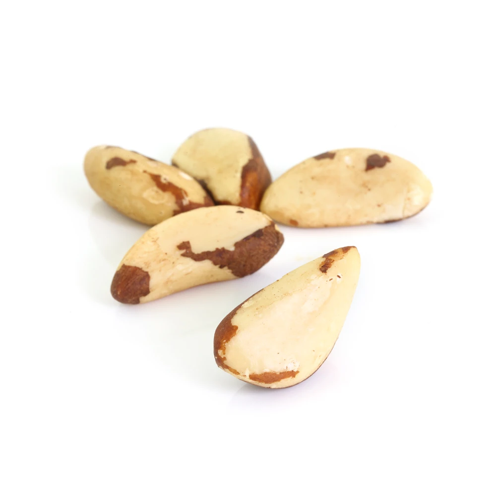 Wholesale Price Raw and Roasted cheap price Brazil Nuts 100% Raw and Roasted Organic Brazil Nuts
