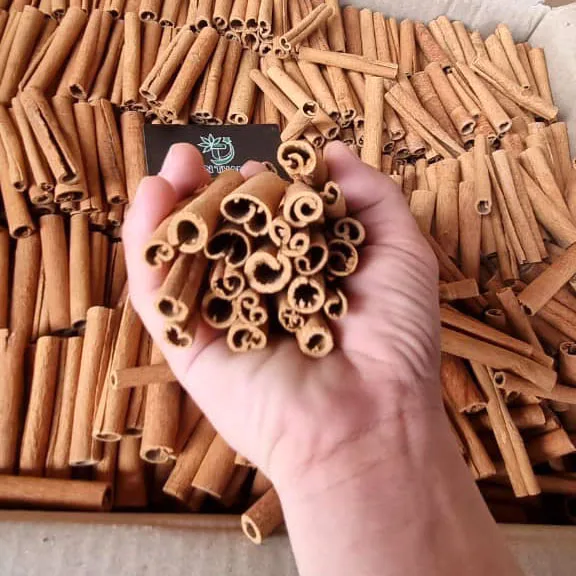 Lauraceae /Cinnamon Danish / Sai Gon Cinnamon/ Ecorce de Cassia Cinnamon