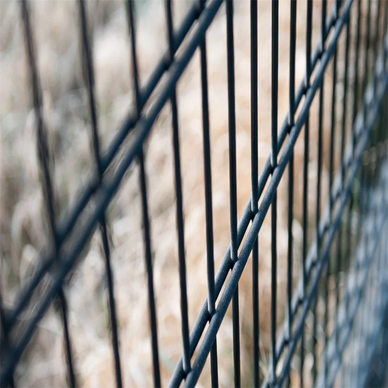 hot sale galvanized powder coated 2d fence panels ral 7016 welded 868/656/545 twin bar wire mesh 2d double welded fence