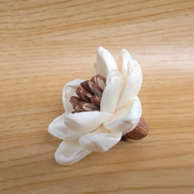 Chrysanthemum Sola Wood Flowers Artificial Dried Wholesale Handicraft Home Decor Decoration Thailand Reed Diffuser