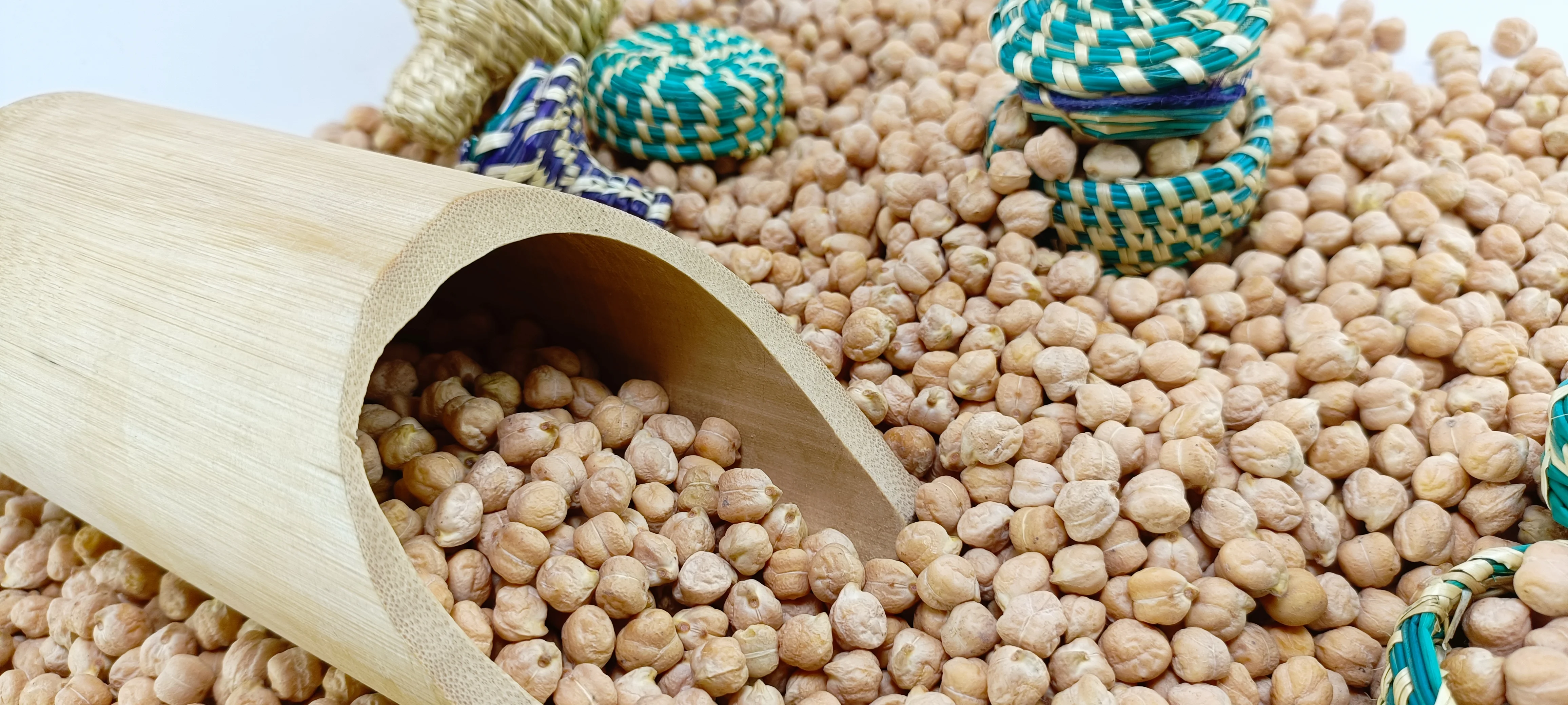 Kabuli Chickpea DP-51
