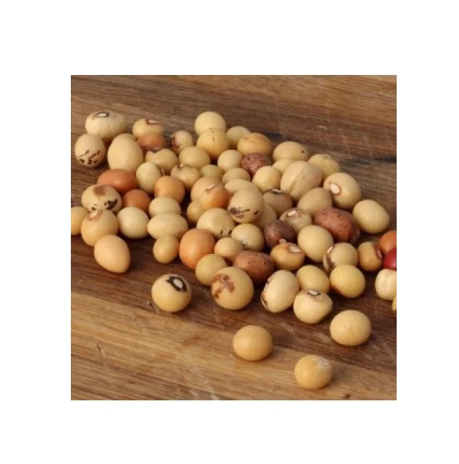 Оптовая продажа, низкая цена, лучшее качество, органические бобы Jugo для продажи, экспорт по всему миру